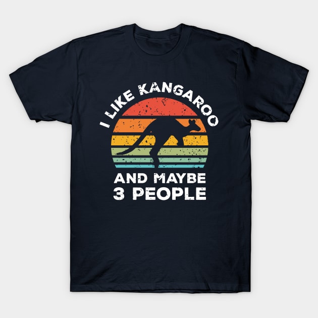 I Like Kangaroo and Maybe 3 People, Retro Vintage Sunset with Style Old Grainy Grunge Texture T-Shirt by Ardhsells